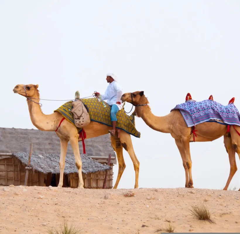 dubai-img (4)