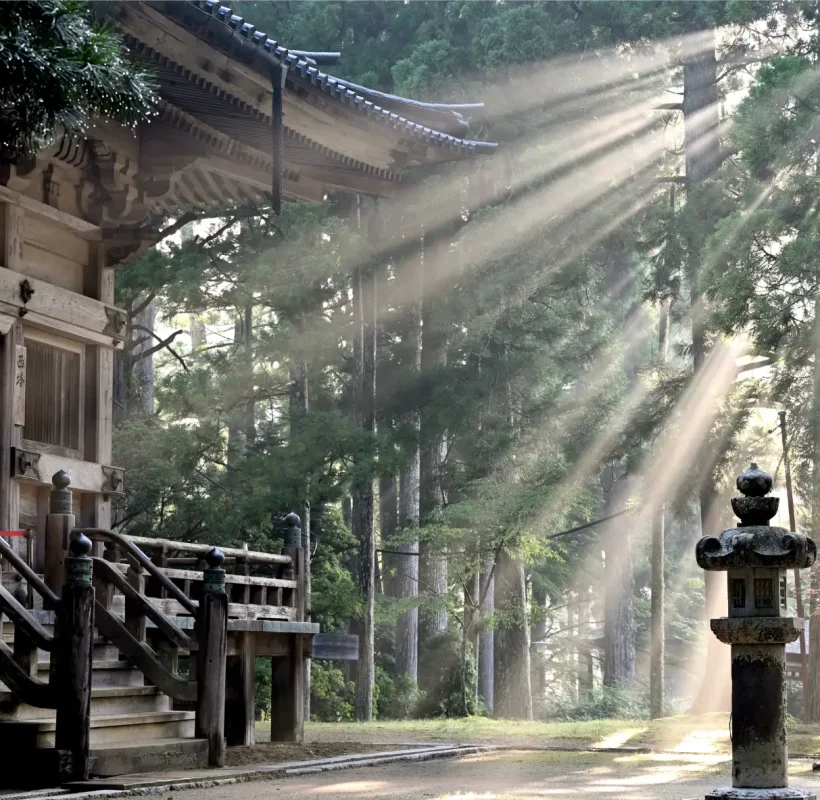 japan-img (1)