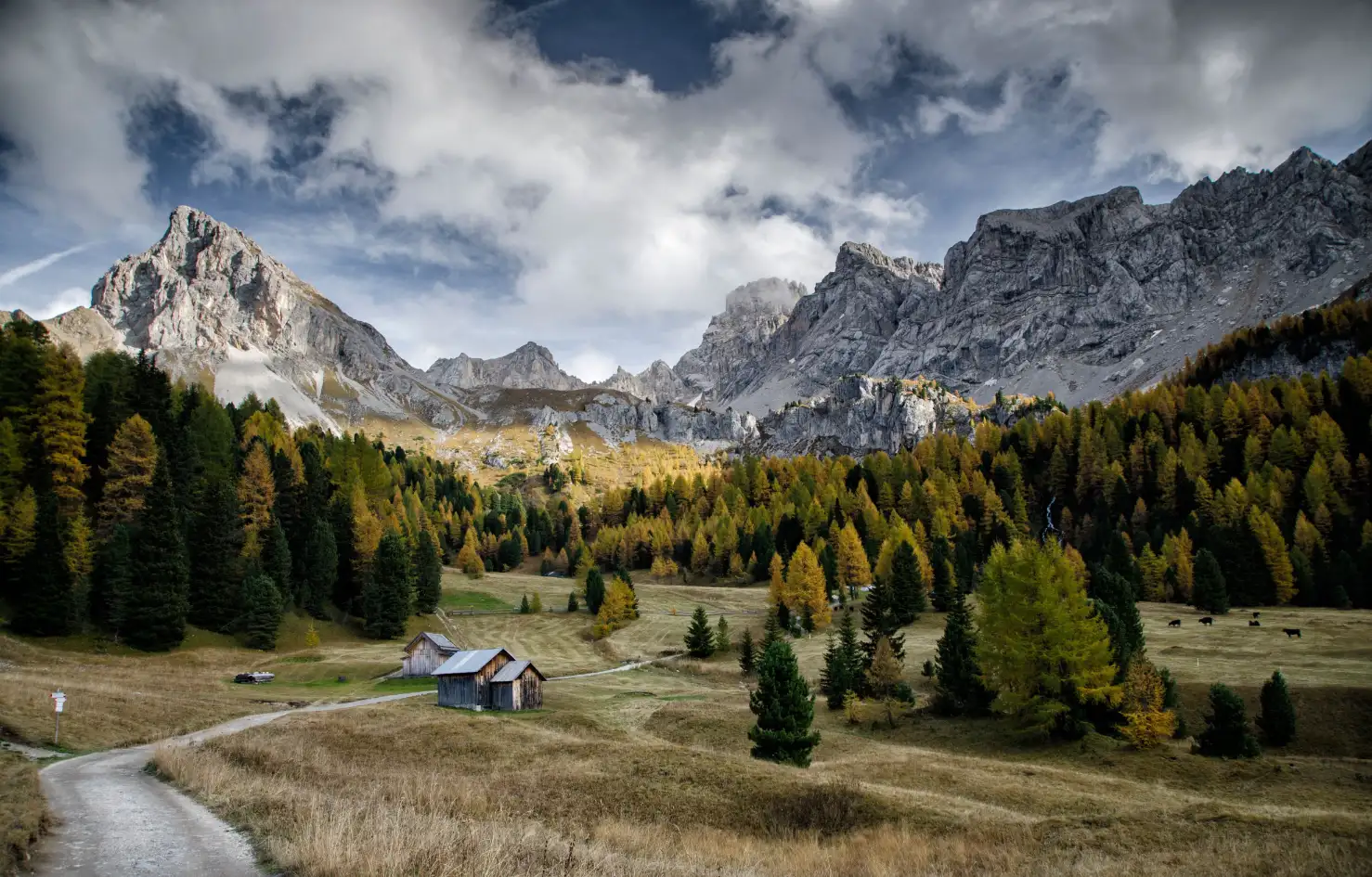 italy-img (1)