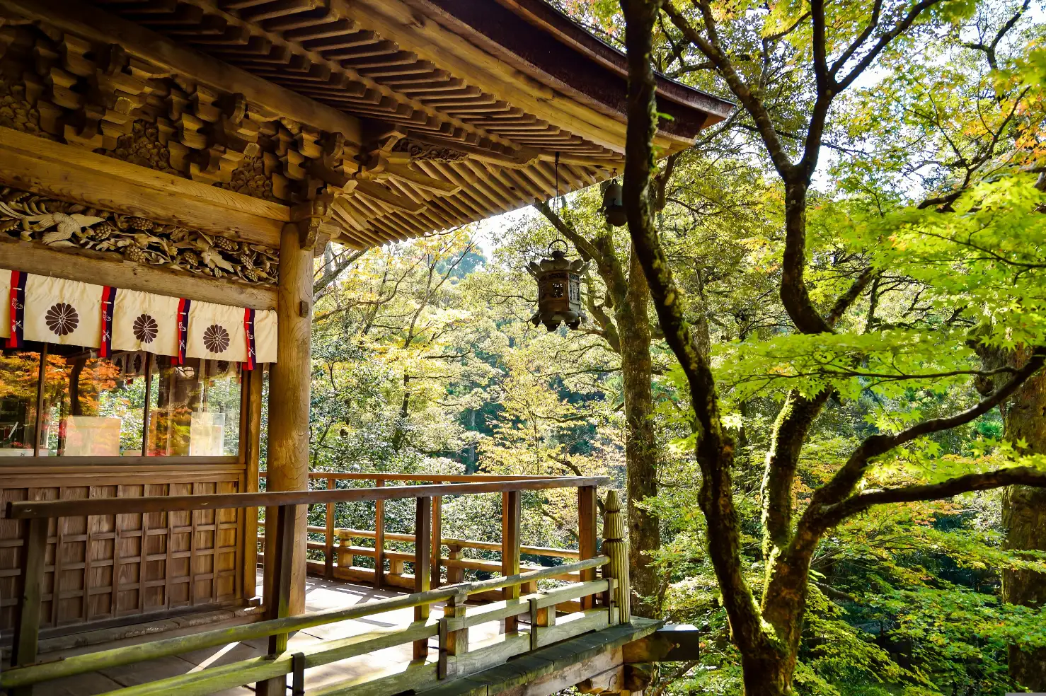 japan-img (4)