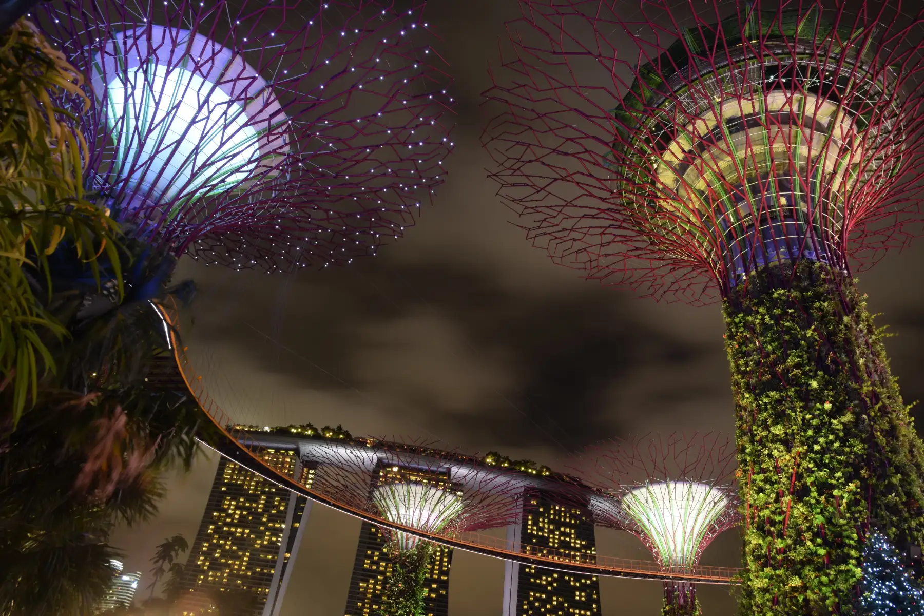 singapore-img (1)
